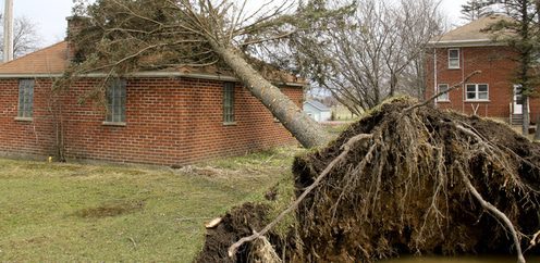 Schturmschäden am Haus durch Baum