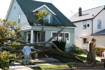 Gebäudeversicherung  – Sturmschäden – notwendige Beseitigungsmaßnahmen