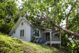 Sturmschäden: Zahlt die Versicherung die Entfernung von umgestürzten Bäumen?