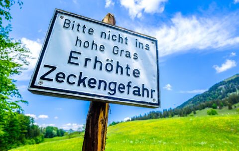 Unfallversicherung - Feststellung chronischen Borreliose